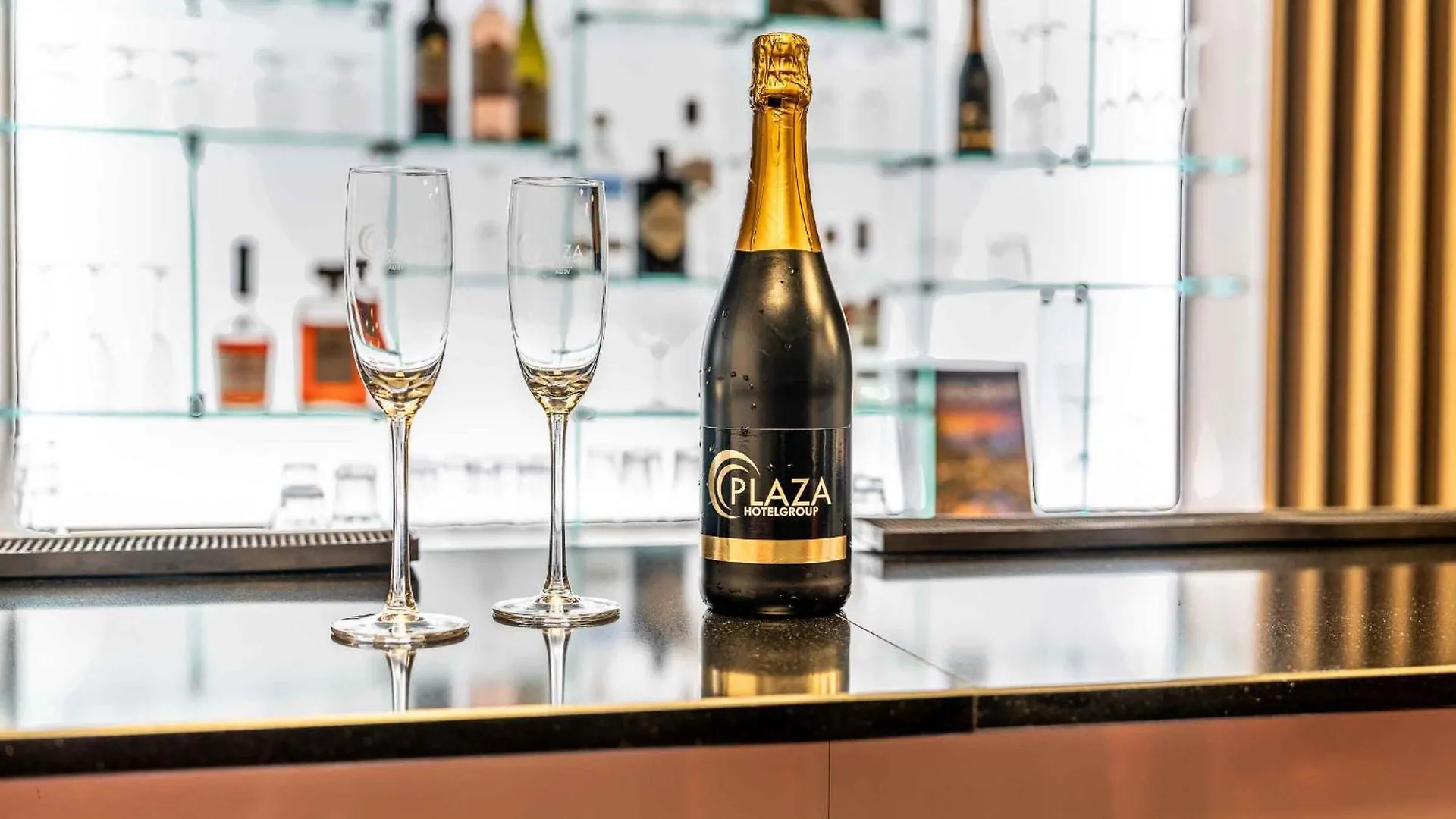 Plaza Premium Den Haag City Center 4*, Haga